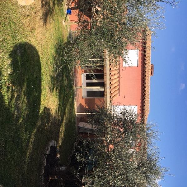 Offres de location Villa Mougins 06250